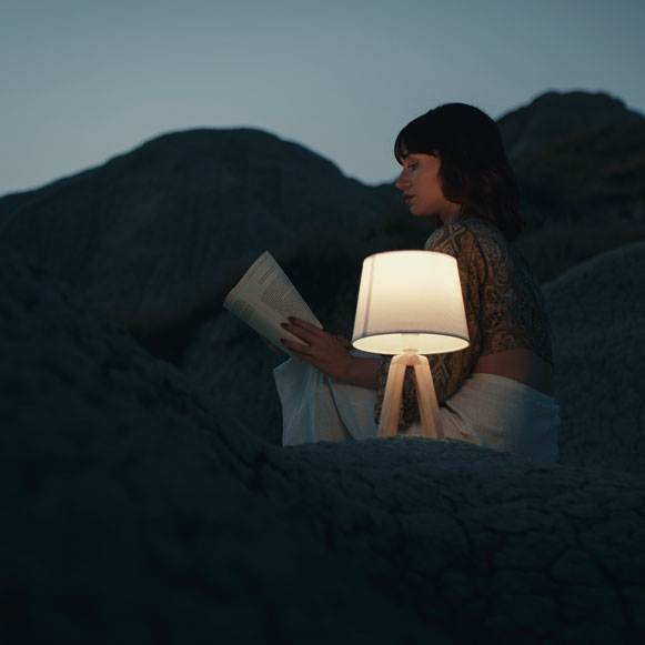 白天的心事往往在夜里开花  文学与世界及自我