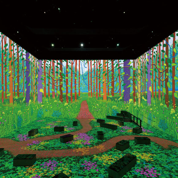 The Breath of Flow  自然中呼吸 沉浸的感知力