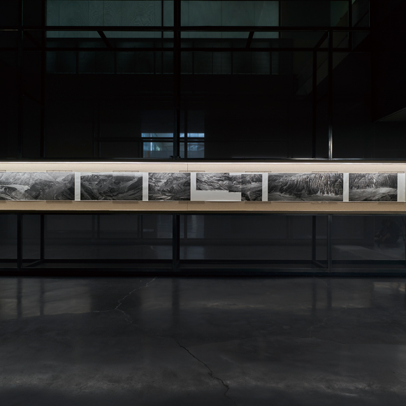 Where Paint Meets Light  秋麦：心目之中 亦画亦影